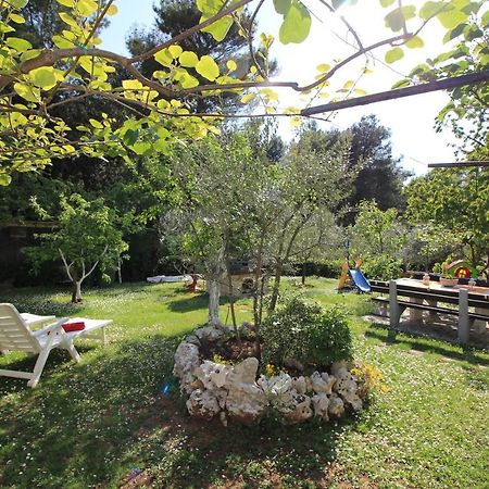 Modern Apartment Sabina With Nice Garden ポレッチ エクステリア 写真